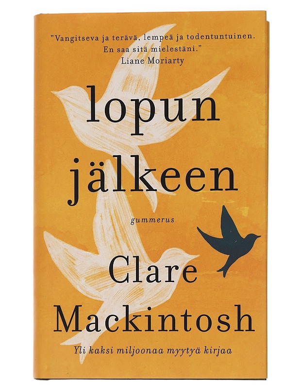Lopun jälkeen - Mackintosh, Clare - Romaanit ja novellit - 10105450959 - 0