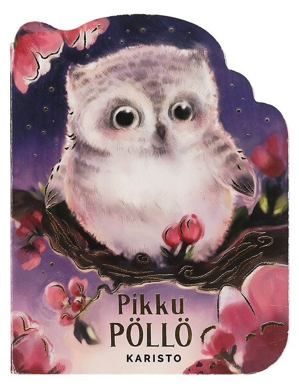 Pikku pöllö - Meyer, Jennifer L. - Lastenkirjat - 10105451616 - 0