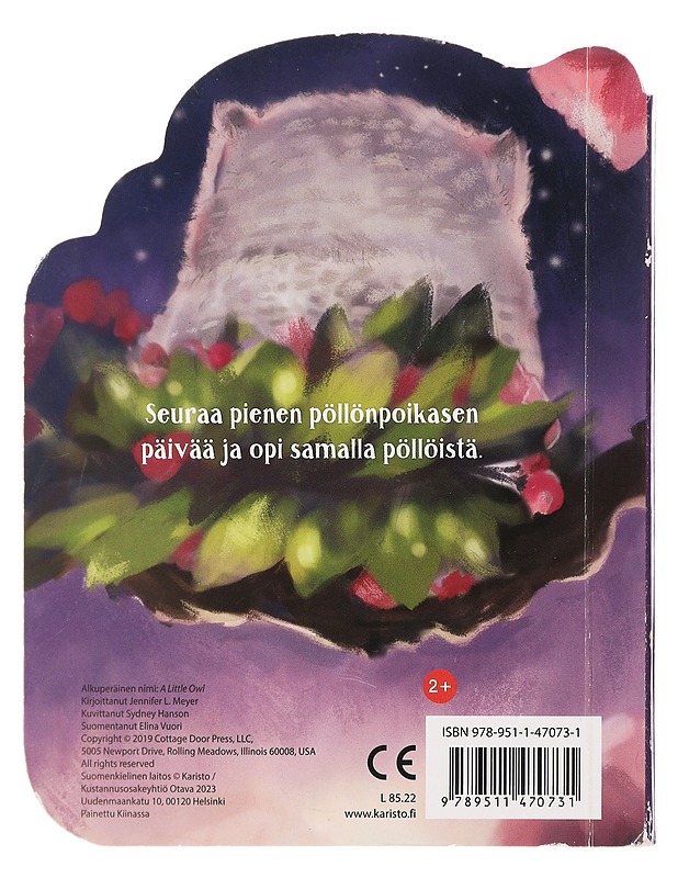 Pikku pöllö - Meyer, Jennifer L. - Lastenkirjat - 10105451616 - 1