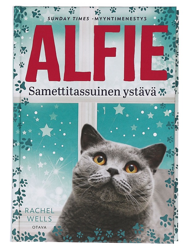 Samettitassuinen ystävä - Wells, Rachel - Romaanit ja novellit - 10105451632 - 0