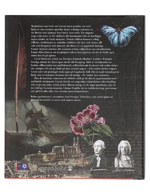 Linne? och hans apostlar - Sörlin, Sverker - Elämäkerrat ja muistelmat - 10105451860 - 1