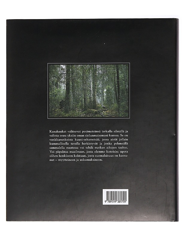 Haukkametsä - Heikki Willamo - Tietokirjat ja oppaat - 10105451914 - 1