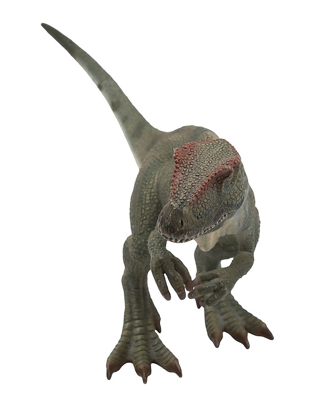 SCHLEICH Allosaurus dinosaurus figuuri - Lasten lelut - 10105451943 - 1