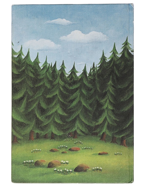 Kaija Pakkanen : Hassu noita ja muita saturunoja - Lastenkirjat - 10105451947 - 1