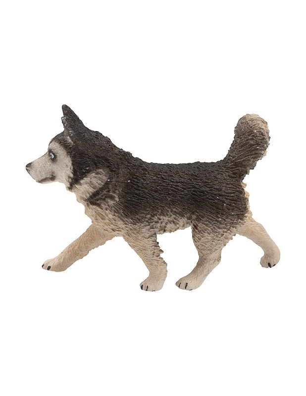SCHLEICH Husky koira figuuri - Lasten lelut - 10105451957 - 1