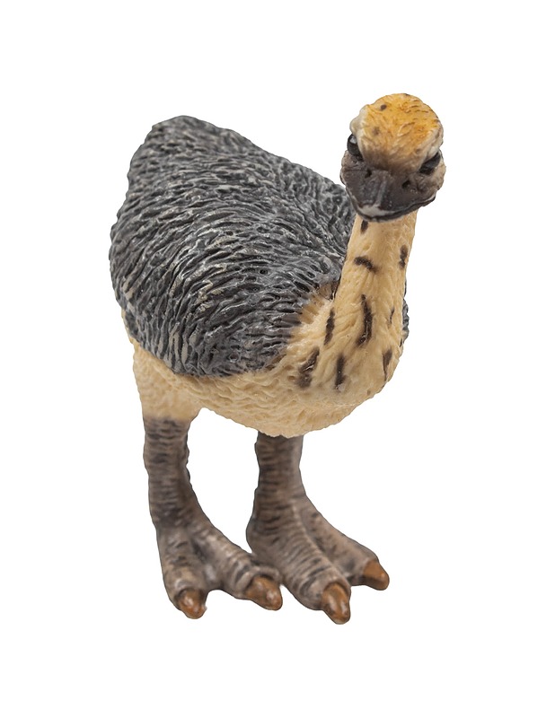 SCHLEICH strutsin poikanen figuuri - Lasten lelut - 10105452011 - 0