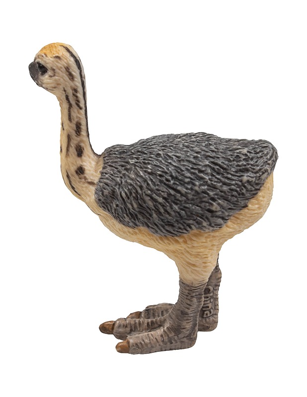 SCHLEICH strutsin poikanen figuuri - Lasten lelut - 10105452011 - 1