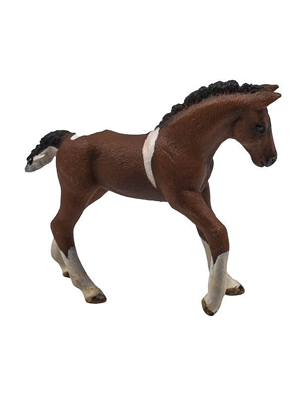 SCHLEICH Trakehnen varsa figuuri - Lasten lelut - 10105452096 - 0