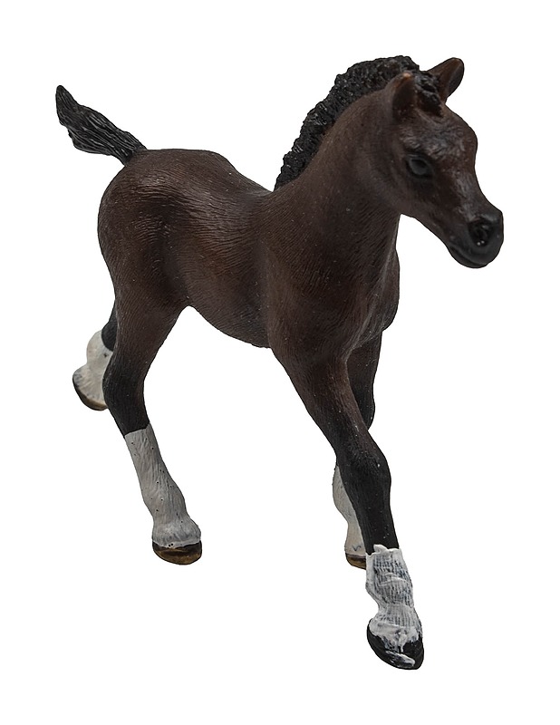 SCHLEICH Arabialainen varsa figuuri - Lasten lelut - 10105452109 - 1