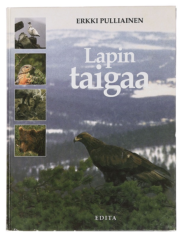 Lapin taigaa - Pulliainen, Erkki - Tietokirjat ja oppaat - 10105452520 - 0