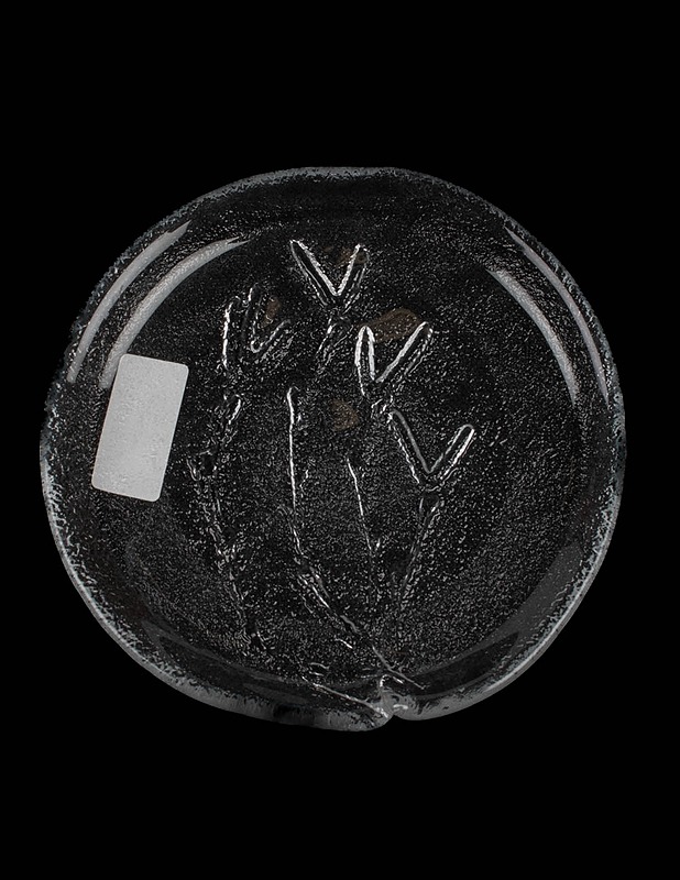 NUUTAJÄRVI lasilautanen - Designsuosikit - 10105452662 - 0