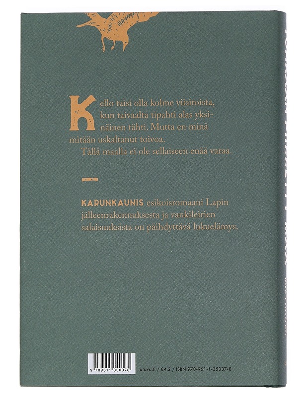 Tuhkaan piirretty maa - Petra Rautiainen - Romaanit ja novellit - 10105452718 - 1