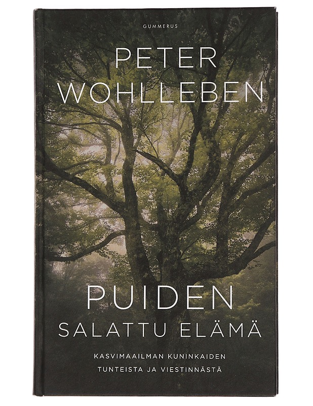 Puiden salattu elämä : kasvimaailman kuninkaiden tunteista ja viestinnästä - Wohlleben, Peter - Harrastekirjat - 10105452767 - 0