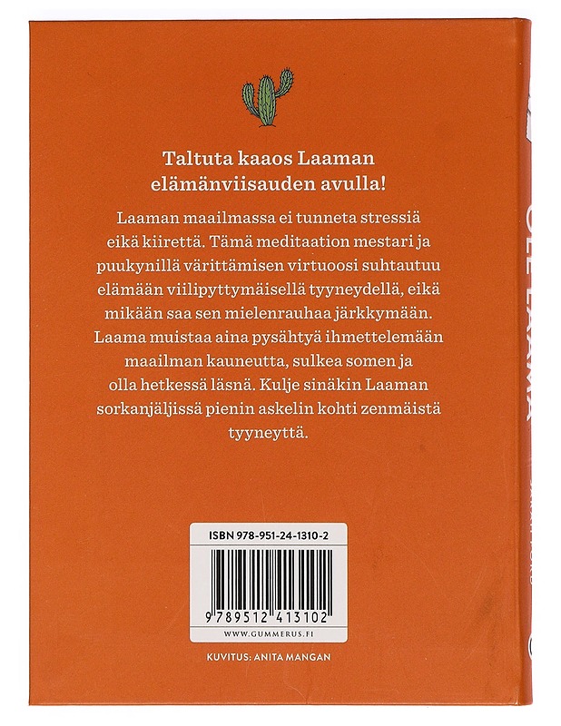 Ole laama ja löydä sisäinen rauha - Ford, Sarah - Lastenkirjat - 10105453262 - 1