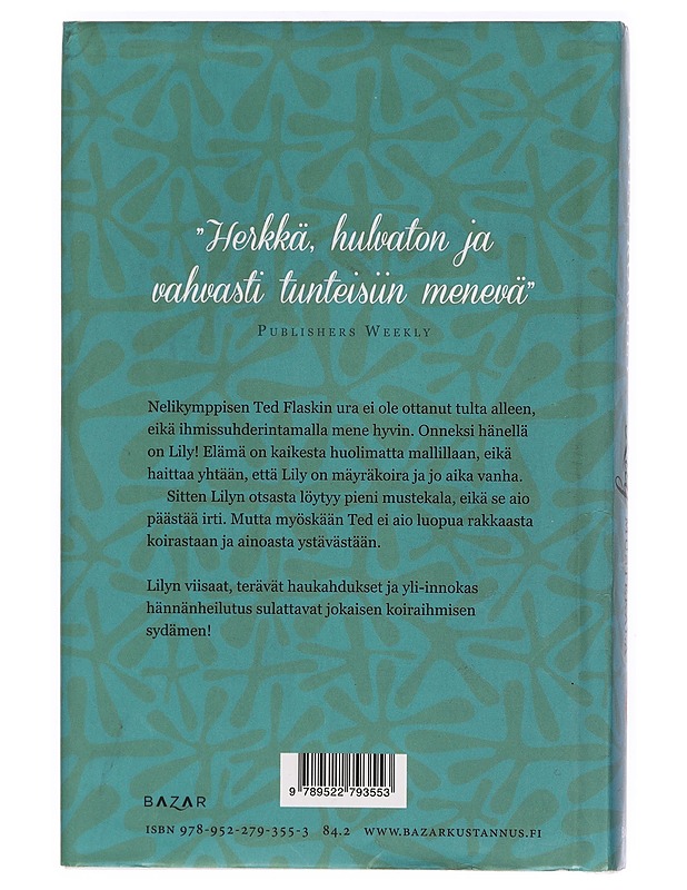 Lily ja mustekala - Rowley, Steven - Romaanit ja novellit - 10105453321 - 1