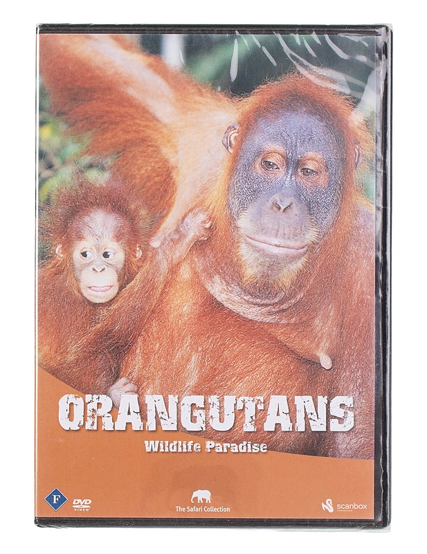 Orangutans - DVD - DVD-elokuvat - 10105453831 - 0