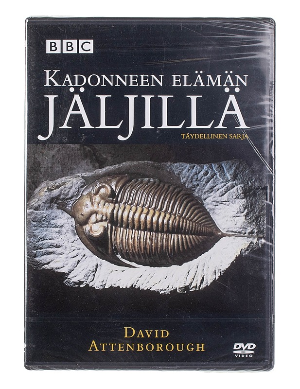 Kadonneen elämän jäljillä - DVD - DVD-elokuvat - 10105453899 - 0