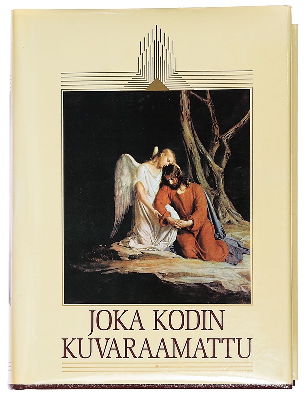 Joka kodin kuvaraamattu - Romaanit ja novellit - 10105453946 - 0