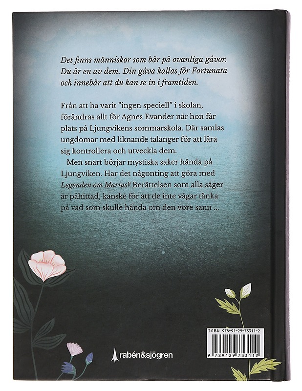 Agnes Evander och De dödas sjö - Anna Lundgren - Romaanit ja novellit - 10105453974 - 1