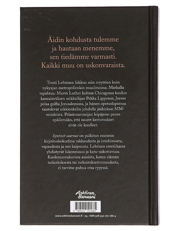 Syntiset saarnat : kirjoituksia maan ja taivaan väliltä - Torsti Lehtinen - Historiakirjat - 10105454269 - 1