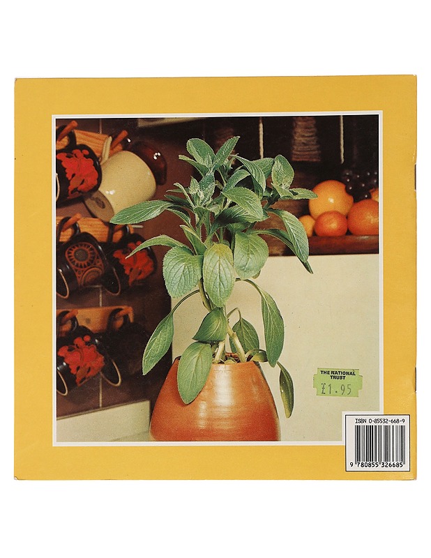 Herbs in Pots - Sarjakuvat - 10105454400 - 1