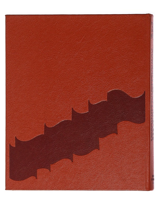 Vallankumous kunnallishallinossa: punaisen suomen historiaa 1918 - Juhani Piilonen - Historiakirjat - 10105454807 - 1