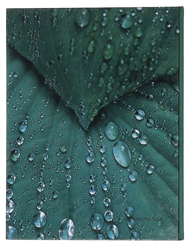 Kaisaniemen puiston maisema-arkkitehtuurikilpailu : tulosten julkistaminen = Landscape architecture competition for Kaisaniemi park : competition report - Tikkanen-Lindström, Terhi - Taide- ja kulttuurikirjat - 10105454813 - 1