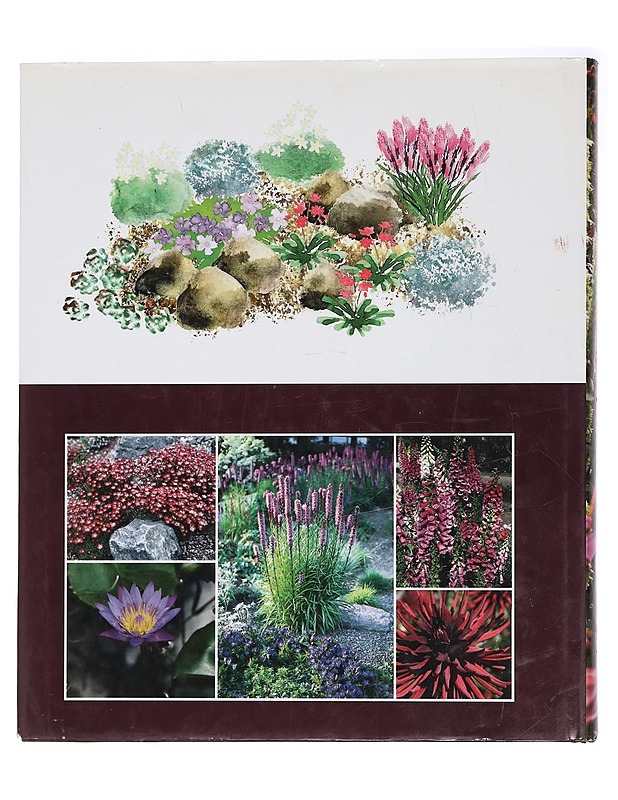 Puutarha ja piha [4]. 4, Kukoistavat perennat - Anttiroiko, Irmeli - Tietokirjat ja oppaat - 10105455271 - 1