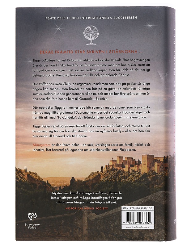 Månsystern : Tiggys bok - Riley, Lucinda - Romaanit ja novellit - 10105455292 - 1