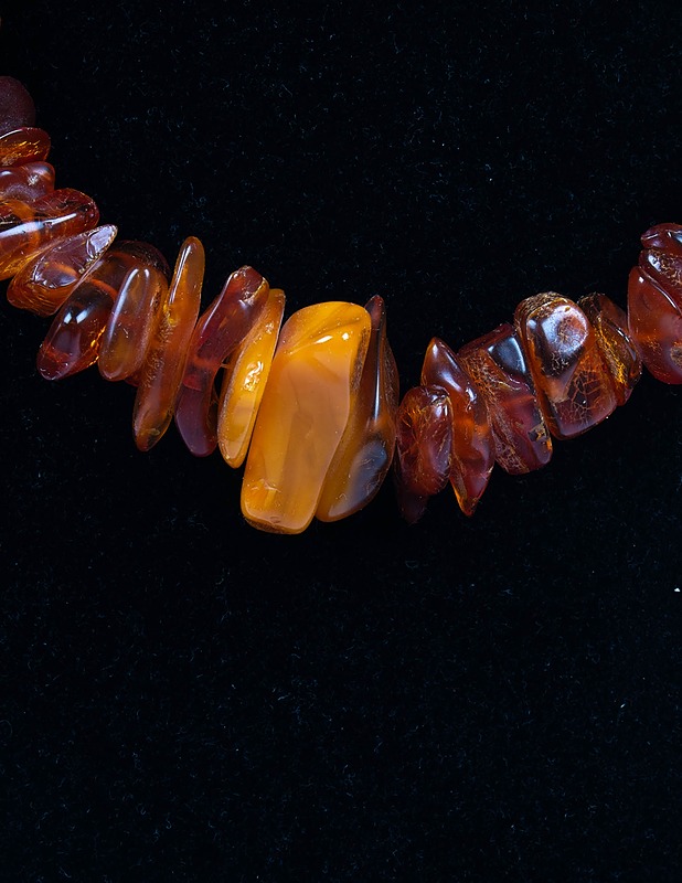 Meripihkakaulakoru - Korut - 10105455524 - 1