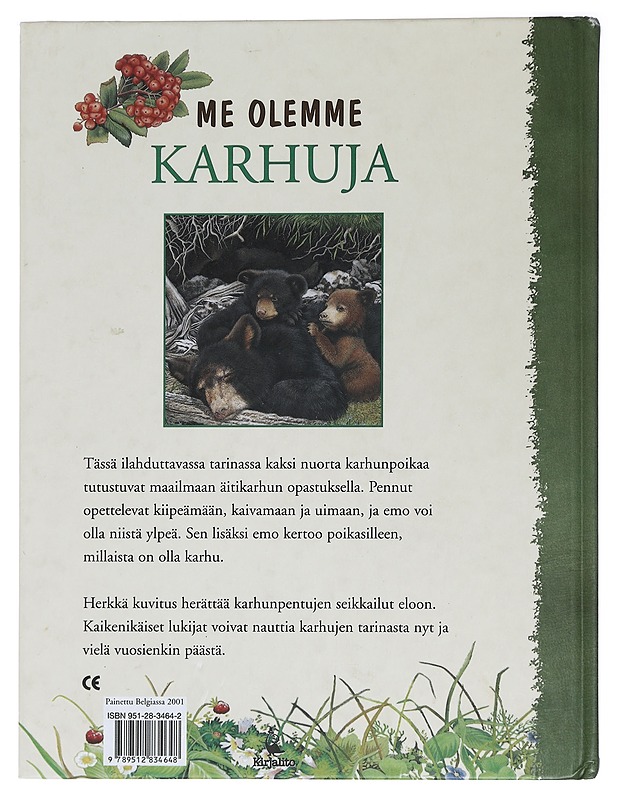 Me olemme karhuja - Molly Grooms - Romaanit ja novellit - 10105455903 - 1