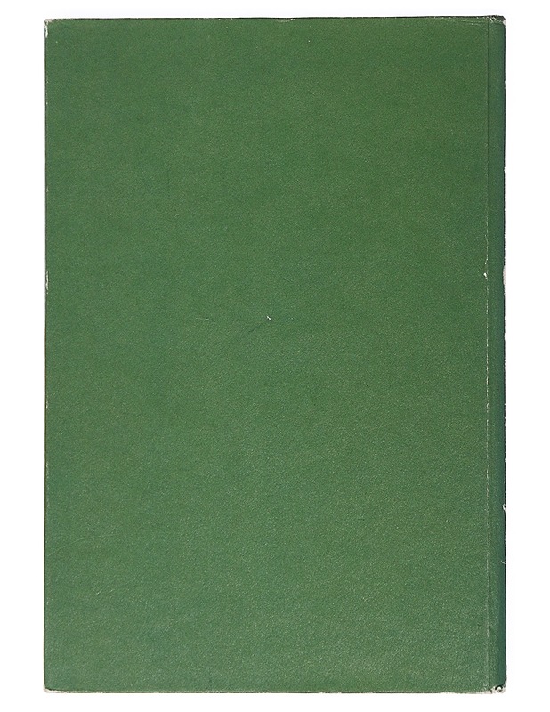 Aristokatit ja kadonnut kaulakoru - Lastenkirjat - 10105456286 - 1