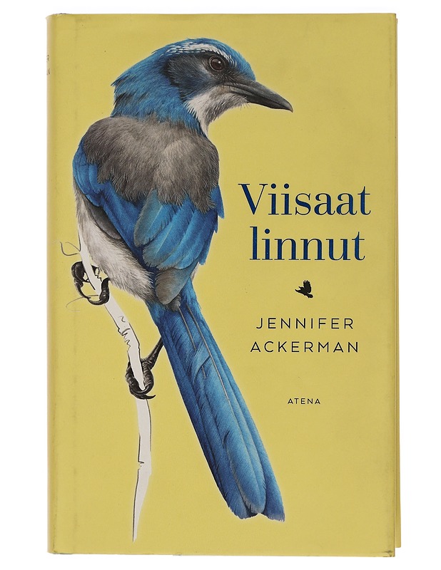 Viisaat linnut - Ackerman, Jennifer - Tietokirjat ja oppaat - 10105456422 - 0