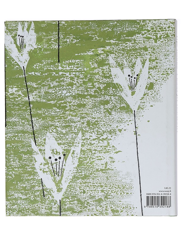 Pessi ja Illusia - Kokko, Yrjö - Lastenkirjat - 10105456431 - 1