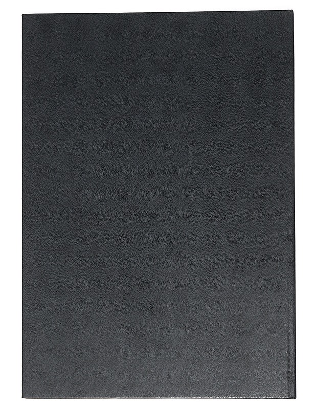 Puutalojen Virrat - Jyrki Käppi - Historiakirjat - 10105456478 - 1