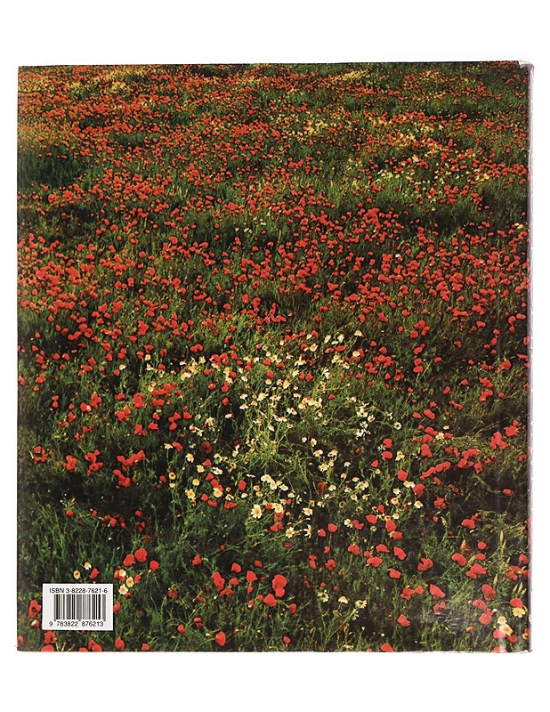 Robert Vavra Equus the creation of a horse - James A. Michener  - Taide- ja kulttuurikirjat - 10105456609 - 1