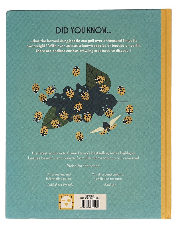 Bonkers about beetles - Owen Davey - Lastenkirjat - 10105456639 - 1