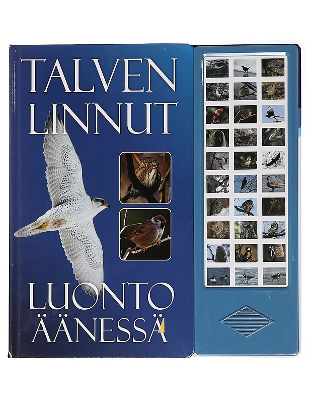 Talven linnut : luonto äänessä - Koskimies, Pertti - Tietokirjat ja oppaat - 10105456668 - 0