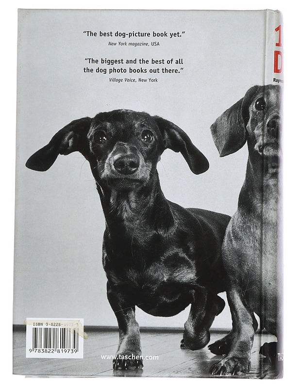 1000 dogs = 1000 hunde = 1000 chiens - Raymond Merritt - Tietokirjat ja oppaat - 10105456699 - 1