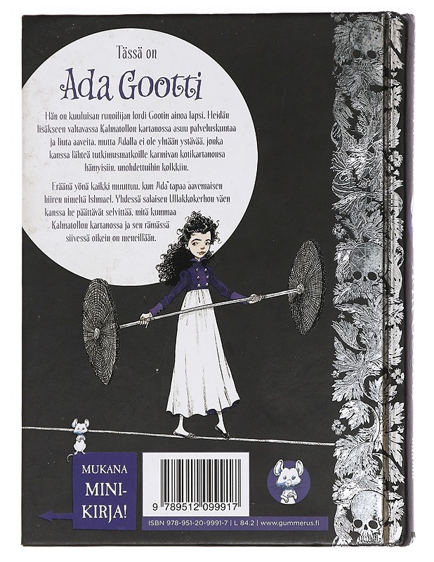 Ada Gootti ja hiiren haamu - Riddell, Chris - Lastenkirjat - 10105457571 - 1