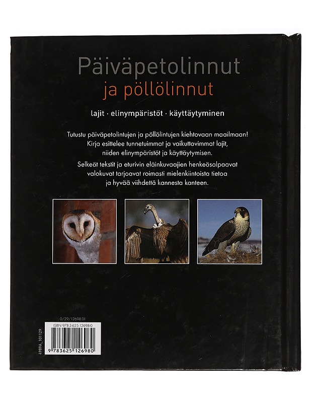 Päiväpetolinnut ja pöllölinnut : lajit, elinympäristöt, käyttäytyminen - Knauer, Ronald - Tietokirjat ja oppaat - 10105457994 - 1