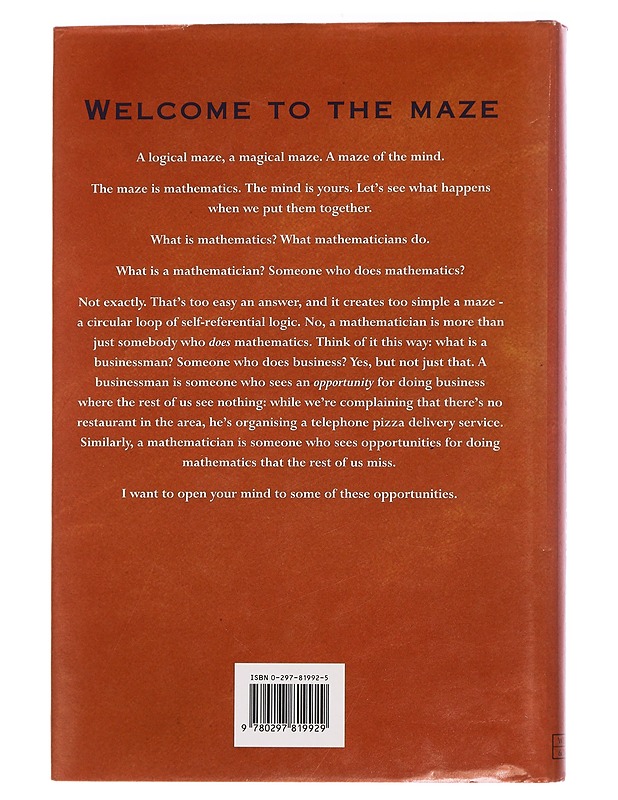 Magical Maze Seeing the World Through Ma - Stewart, Ian - Tietokirjat ja oppaat - 10105458088 - 1