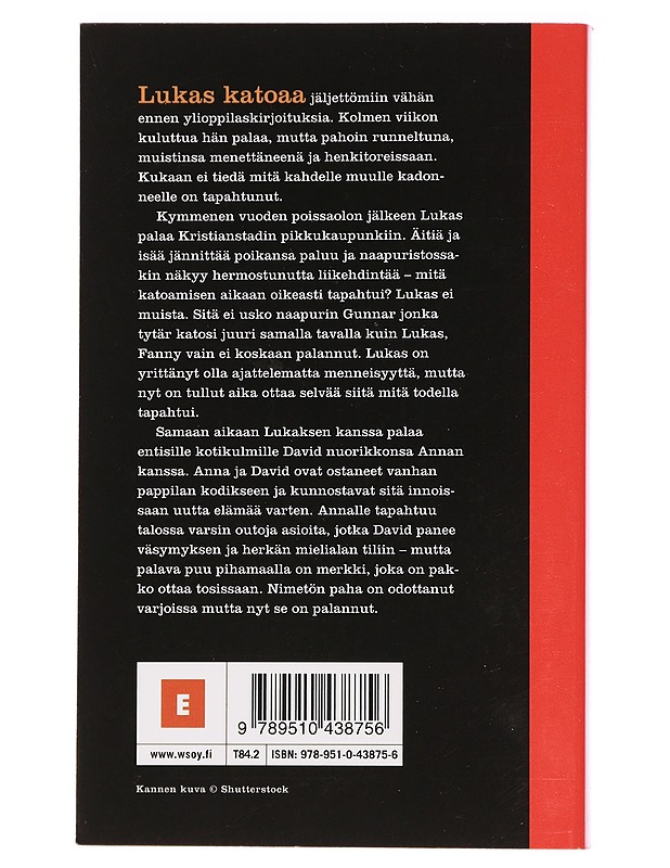 Sairaat sielut - Ohlsson, Kristina - Romaanit ja novellit - 10105458165 - 1