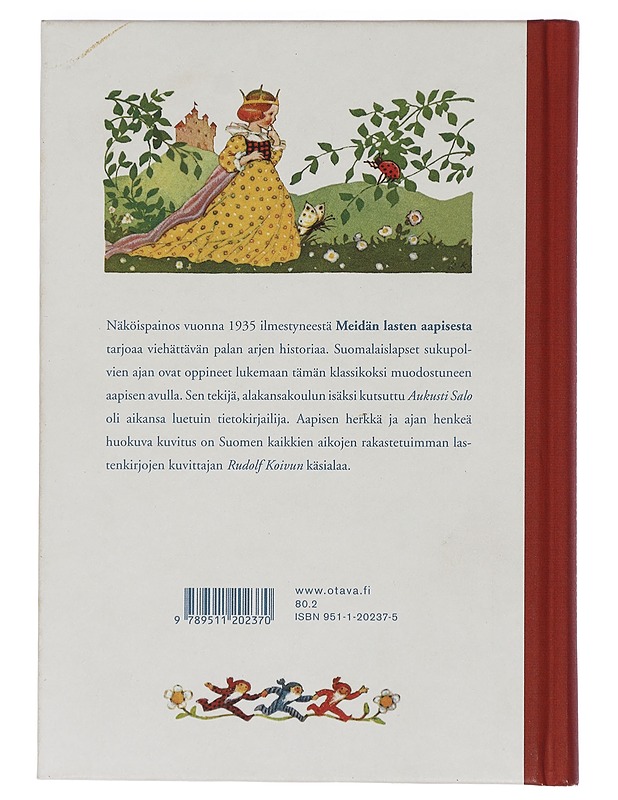 Meidän lasten aapinen - Salo, Aukusti - Tietokirjat ja oppaat - 10105458167 - 1