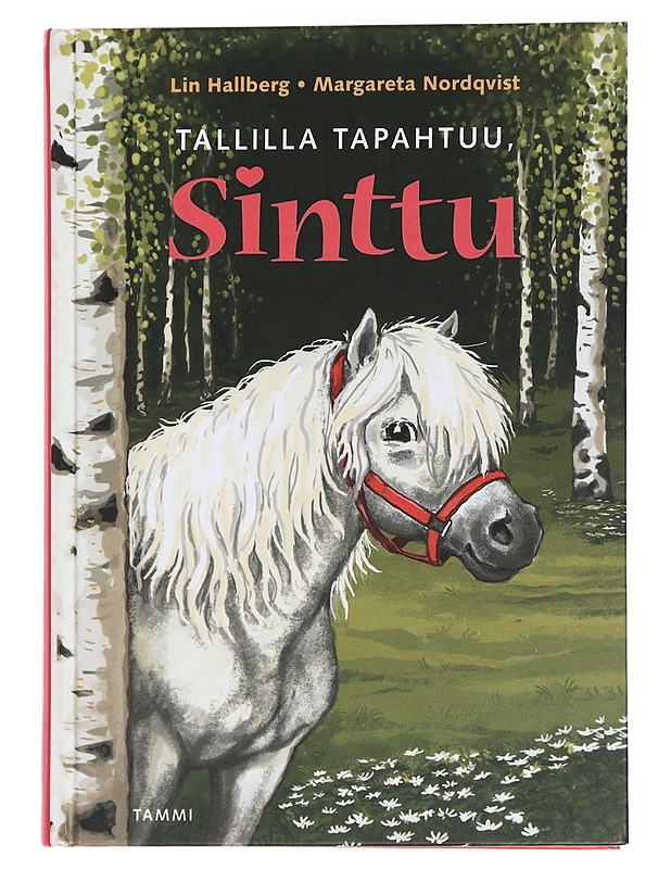 Tallilla tapahtuu, Sinttu - Hallberg, Lin - Lastenkirjat - 10105458423 - 0