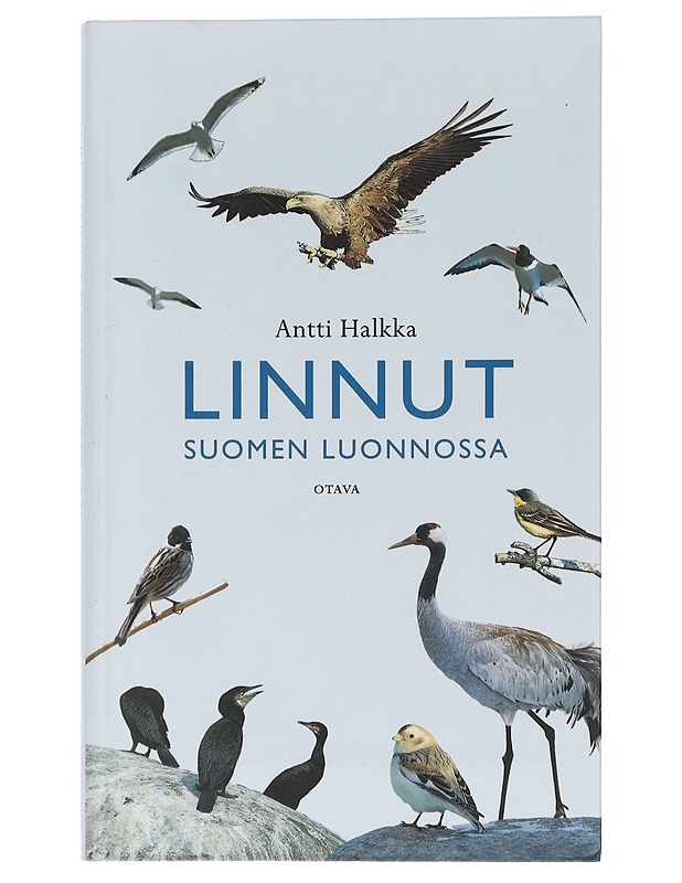 Linnut Suomen luonnossa - Halkka, Antti - Tietokirjat ja oppaat - 10105458858 - 0