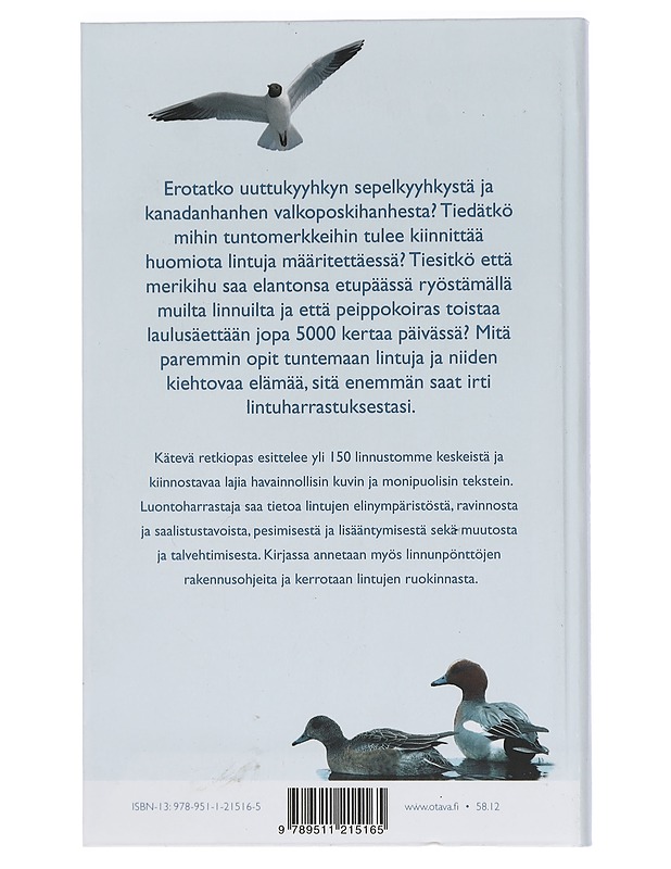 Linnut Suomen luonnossa - Halkka, Antti - Tietokirjat ja oppaat - 10105458858 - 1