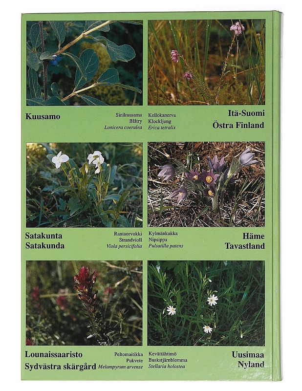 Suomen kasvit = Finlands växter = The Finnish flora - Niilo Lounamaa - Lemmikki- ja luontokirjat - 10105459304 - 1