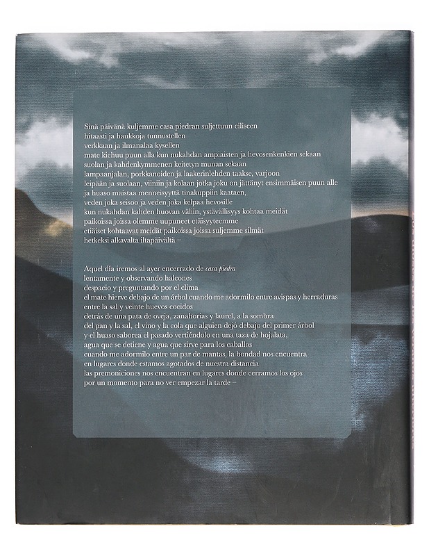 Myöhempien kesien jumalat - Vuorinen, Katariina - Romaanit ja novellit - 10105459949 - 1