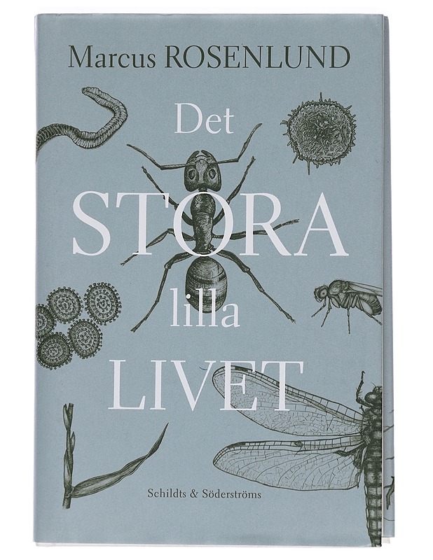 Det stora lilla livet - Marcus Rosenlund - Tietokirjat ja oppaat - 10105460253 - 0